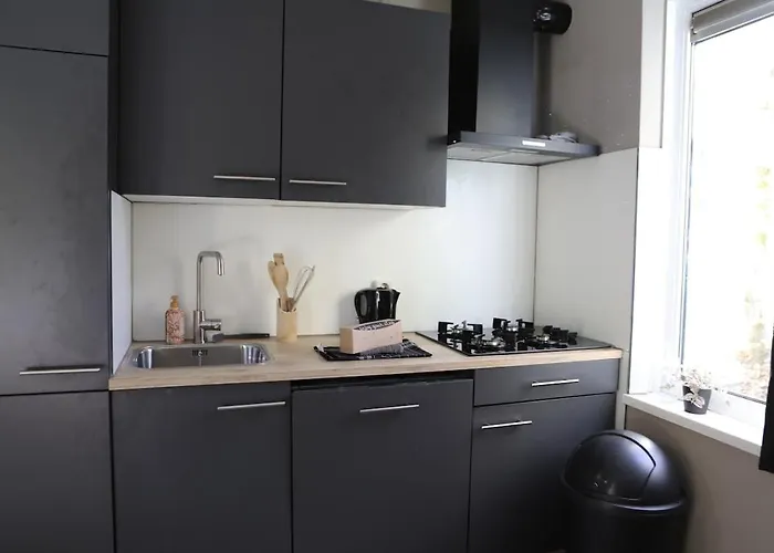 Comfortable Family With Sauna - Vp101 *