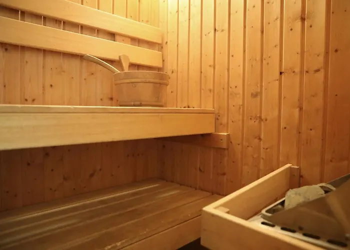 Comfortable Family With Sauna - Vp101 Hoeven