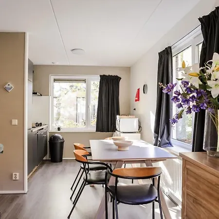 Comfortable Family With Sauna - Vp101 Vakantiehuis *